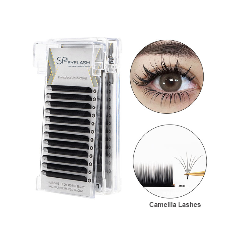 0.07 Camellia kirpik qabı