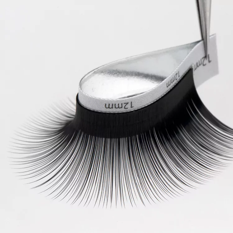 Camellia Auto Fan Lashes